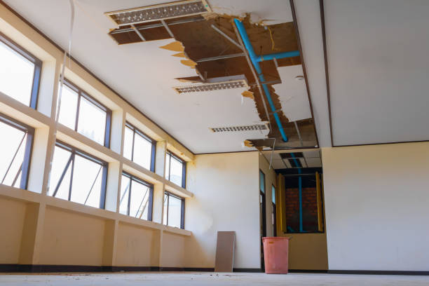 Best Basement water damage restoration  in Carbondale, PA