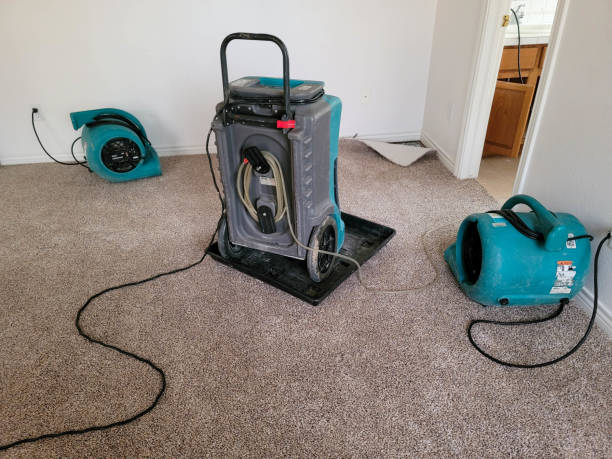 Best Water damage restoration near me  in Carbondale, PA