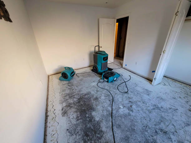 Best Water damage restoration specialists  in Carbondale, PA