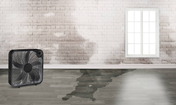 Best Water damage restoration near me  in Carbondale, PA