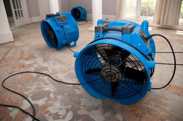 Best Sewage cleanup and water damage restoration  in Carbondale, PA