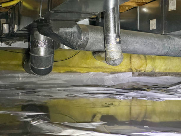 Best Local water damage restoration  in Carbondale, PA