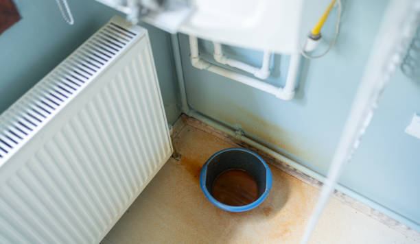 Best Water damage restoration process  in Carbondale, PA