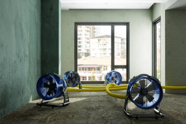 Best Fire Damage Restoration  in Carbondale, PA